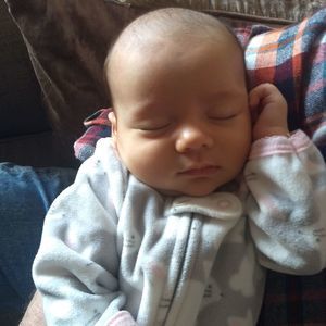 Meet your Posher, Debbie muller